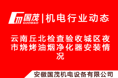 云南丘北檢查驗(yàn)收城區(qū)夜市燒烤油煙凈化器安裝情況