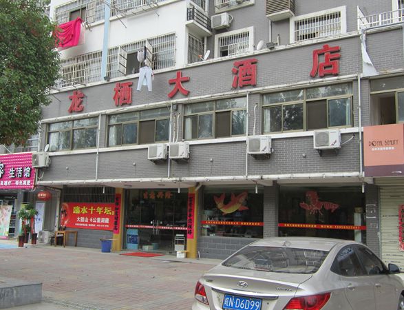 龍棲大酒店油煙凈化器改造
